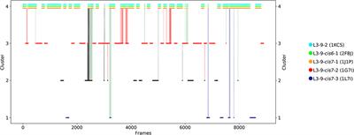 Transitions of CDR-L3 Loop Canonical Cluster Conformations on the Micro-to-Millisecond Timescale